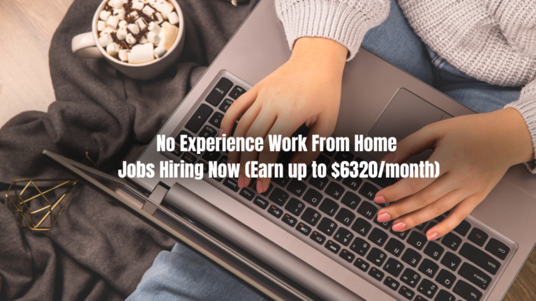 No Experience Work From Home Jobs Hiring Now