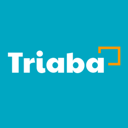 Triaba: Top 11 Best Paying Survey Sites 2023/2024