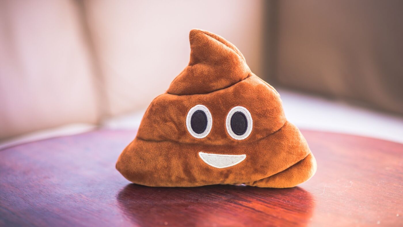 weird side hustle selling poop